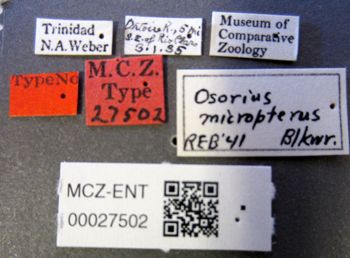 Media type: image;   Entomology 27502 Aspect: labels